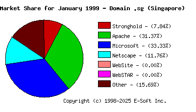 February 1st, 1999 Market Share Pie Chart