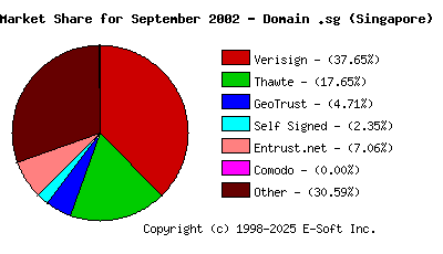 October 1st 2002 CA Market Share Pie Chart