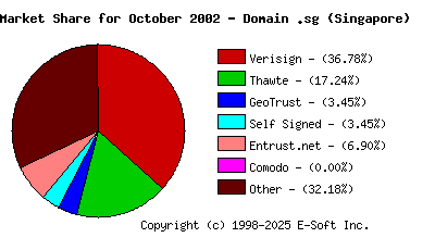 November 1st 2002 CA Market Share Pie Chart