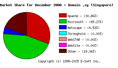 January 1st, 2007 Market Share Pie Chart