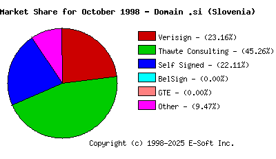 November 1st 1998 CA Market Share Pie Chart