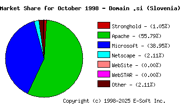 November 1st, 1998 Market Share Pie Chart