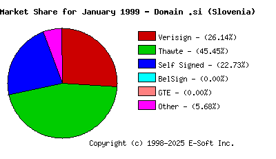 February 1st 1999 CA Market Share Pie Chart