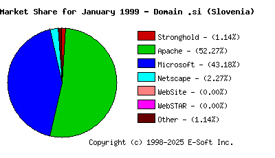 February 1st, 1999 Market Share Pie Chart