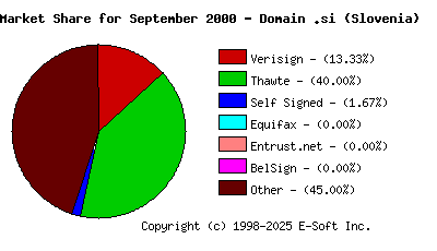 October 1st 2000 CA Market Share Pie Chart