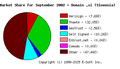 October 1st 2002 CA Market Share Pie Chart