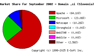October 1st, 2002 Market Share Pie Chart