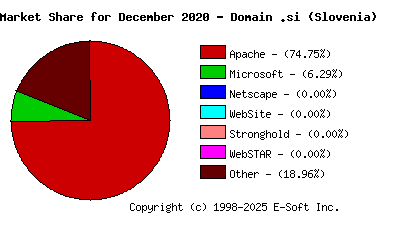 January 1st, 2021 Market Share Pie Chart