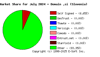 August 1st 2024 CA Market Share Pie Chart