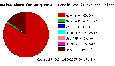 August 1st, 2013 Market Share Pie Chart