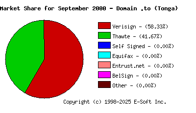 October 1st 2000 CA Market Share Pie Chart