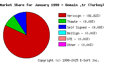 February 1st 1999 CA Market Share Pie Chart