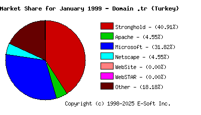 February 1st, 1999 Market Share Pie Chart