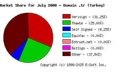 August 1st 2000 CA Market Share Pie Chart