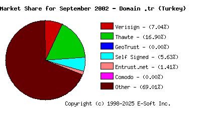 October 1st 2002 CA Market Share Pie Chart