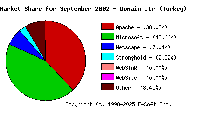 October 1st, 2002 Market Share Pie Chart