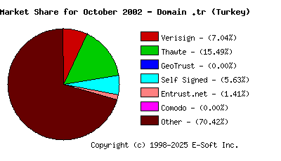 November 1st 2002 CA Market Share Pie Chart