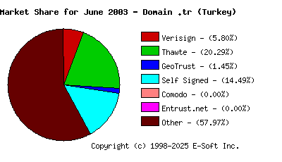 July 1st 2003 CA Market Share Pie Chart