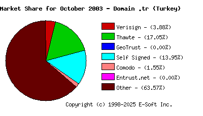November 1st 2003 CA Market Share Pie Chart