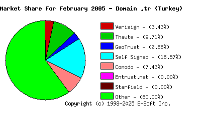 March 1st 2005 CA Market Share Pie Chart