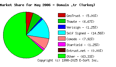 June 1st 2006 CA Market Share Pie Chart
