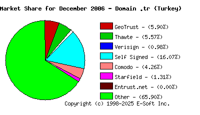 January 1st 2007 CA Market Share Pie Chart