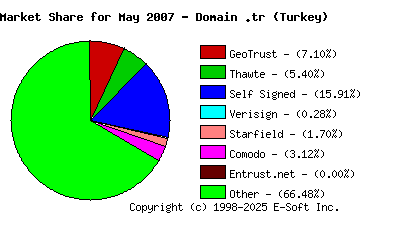 June 1st 2007 CA Market Share Pie Chart