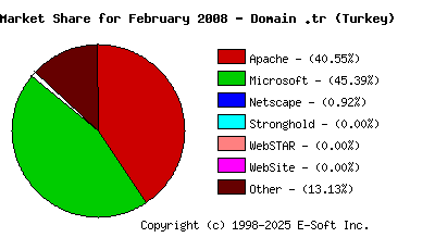March 1st, 2008 Market Share Pie Chart