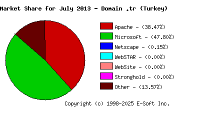 August 1st, 2013 Market Share Pie Chart