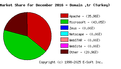 January 1st, 2017 Market Share Pie Chart