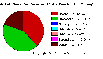 January 1st, 2017 Market Share Pie Chart