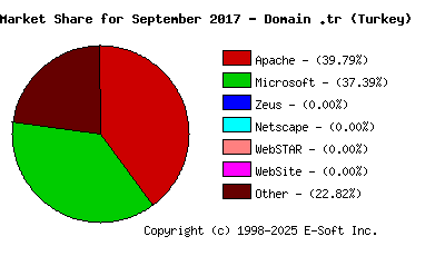 October 1st, 2017 Market Share Pie Chart