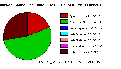 July 1st, 2023 Market Share Pie Chart