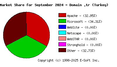 October 1st, 2024 Market Share Pie Chart