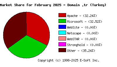 March 1st, 2025 Market Share Pie Chart