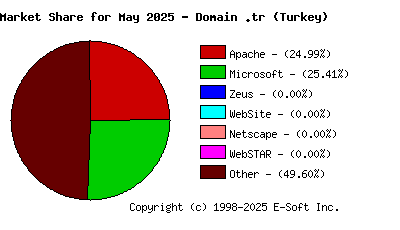 June 1st, 2025 Market Share Pie Chart