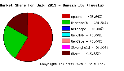 August 1st, 2013 Market Share Pie Chart