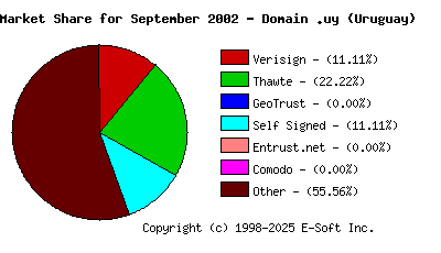 October 1st 2002 CA Market Share Pie Chart