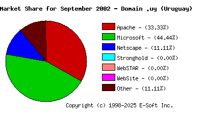 October 1st, 2002 Market Share Pie Chart