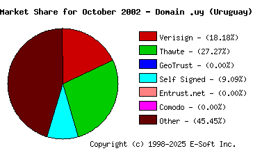 November 1st 2002 CA Market Share Pie Chart
