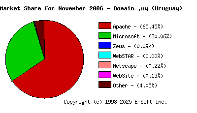 December 1st, 2006 Market Share Pie Chart