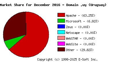 January 1st, 2017 Market Share Pie Chart