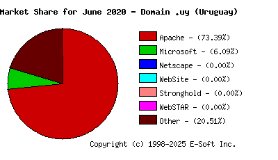 July 1st, 2020 Market Share Pie Chart