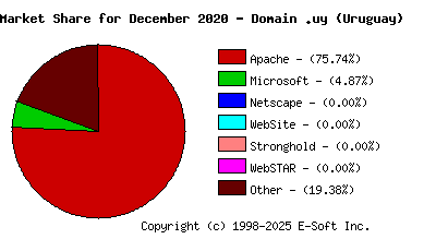 January 1st, 2021 Market Share Pie Chart