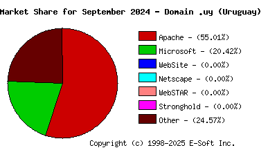 October 1st, 2024 Market Share Pie Chart