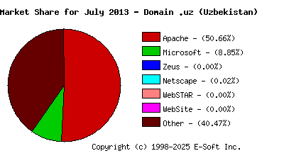 August 1st, 2013 Market Share Pie Chart