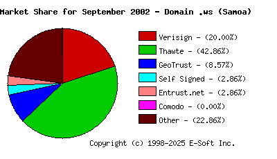 October 1st 2002 CA Market Share Pie Chart