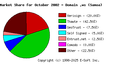 November 1st 2002 CA Market Share Pie Chart