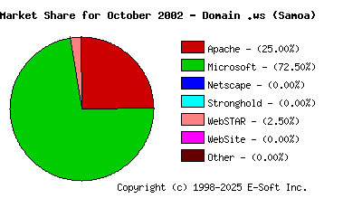 November 1st, 2002 Market Share Pie Chart