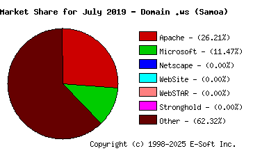 August 1st, 2019 Market Share Pie Chart